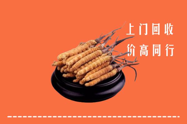 高价求购：阿坝回收散虫草