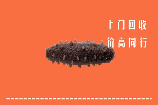 高价求购：阿坝回收海参