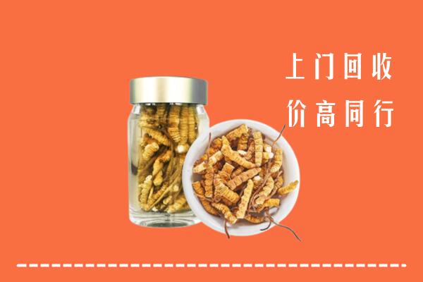 阿坝回收冬虫夏草